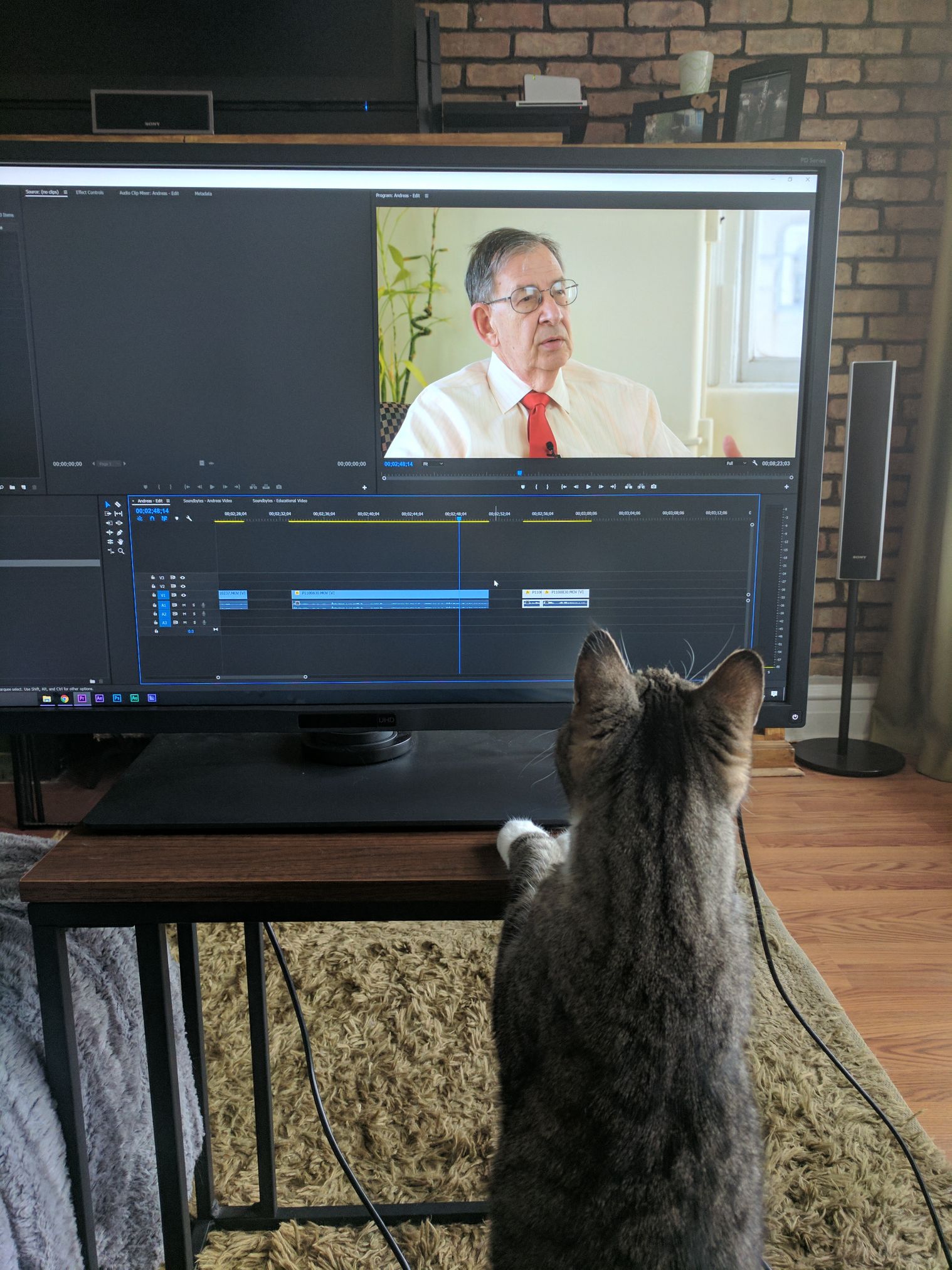 A cat editing Henry Fogel, some time in 2017, Chicago IL